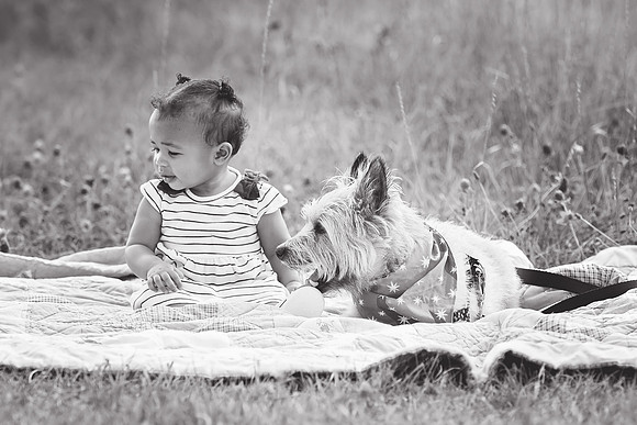 IMG-8008bw
