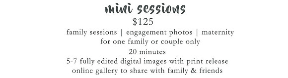 minisession